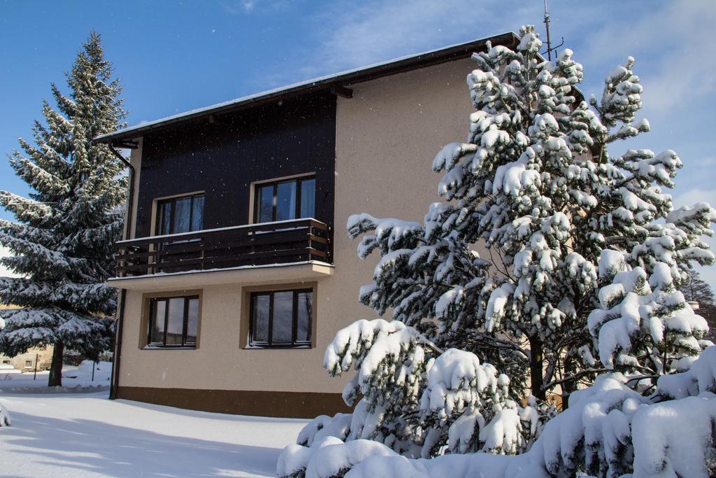 Apartmany Olesnice Olesnice v Orlickych horach Экстерьер фото